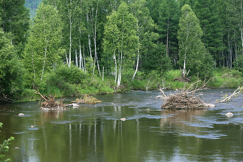 带你看美丽的呼伦贝尔大草原,呼伦贝尔大草原欣赏