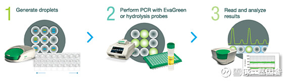 全场硬菜！分子诊断技术全解析