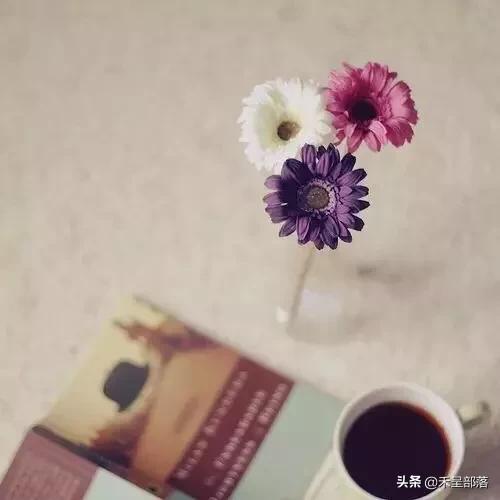 因为5毛钱告上了法庭,同事把我拉黑了该如何相处