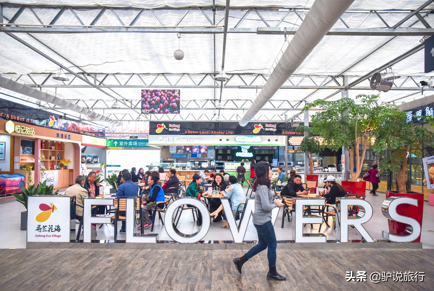 郁金香中国,中国郁金香第一花海