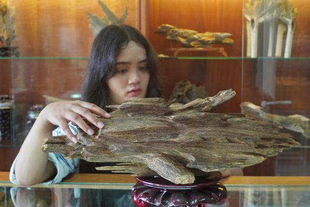 越南芽庄沉香与海南沉香的区别,越南沉香实地考察