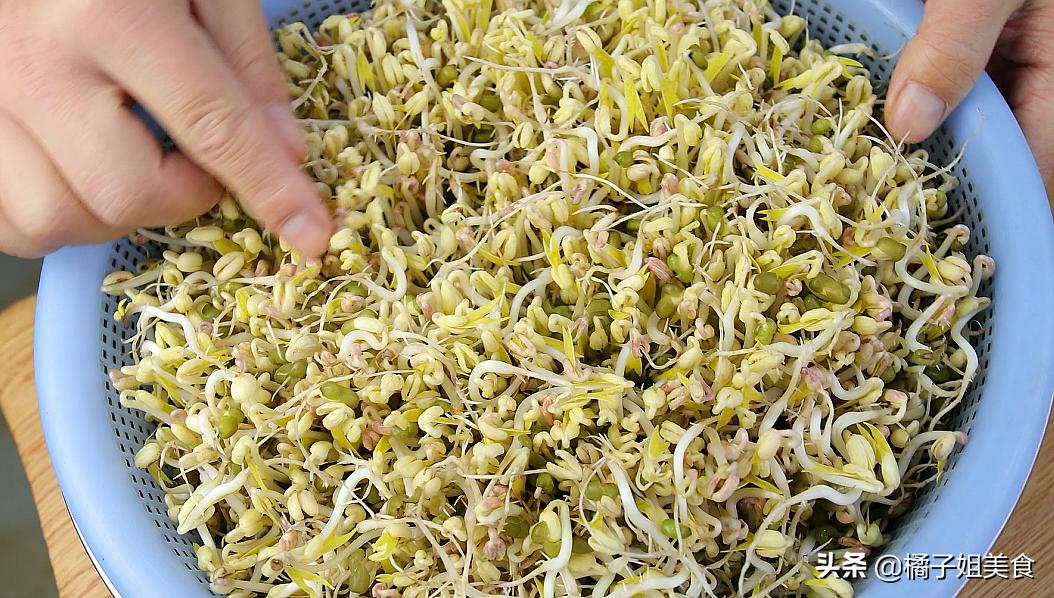 生豆芽的方法教程,生豆芽的方法和技术