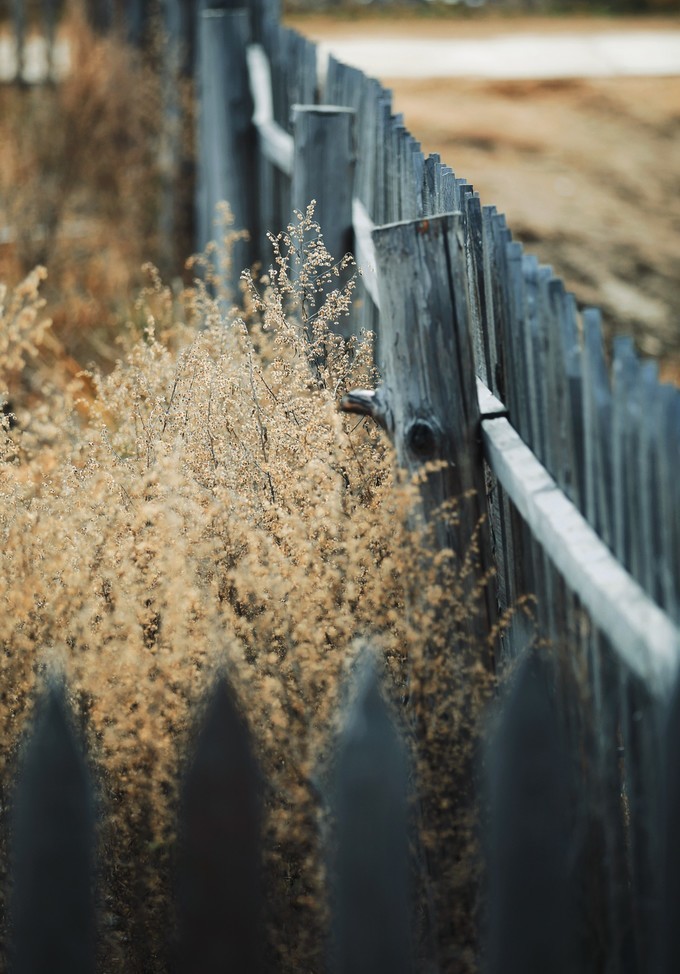 自驾呼伦贝尔|七千里路云和月,写给秋天和自己的故事