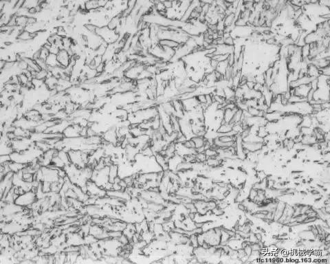 马氏体、奥氏体、珠光体，20种材料彩色金相，带你轻松识别