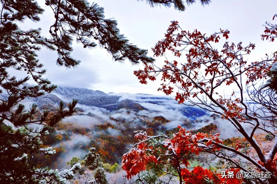 今年春节，留在旺苍过年吧！此心安处是吾乡