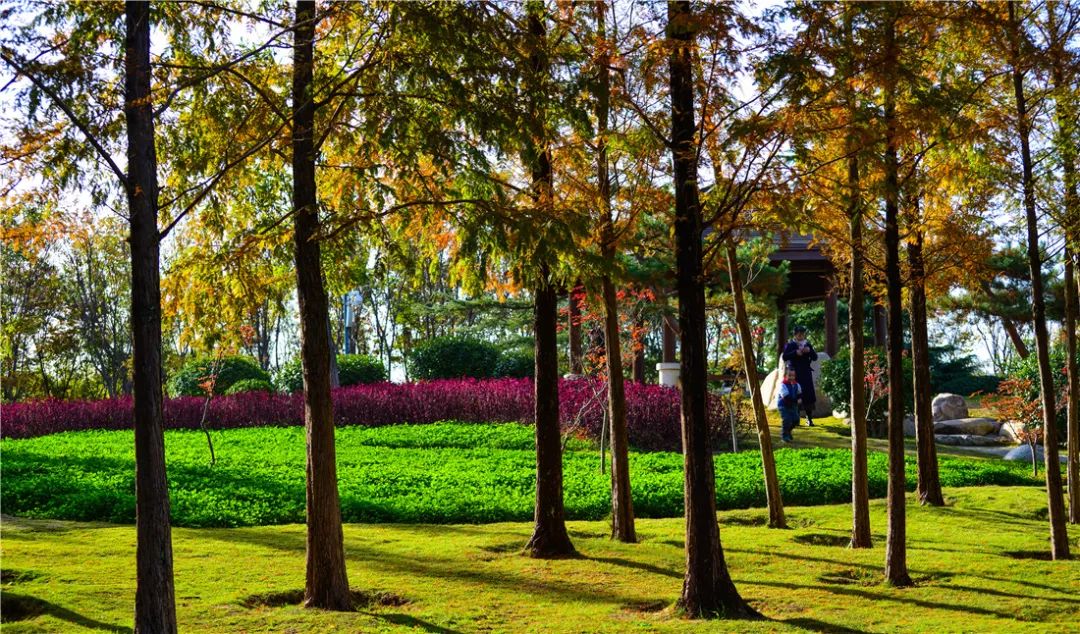 夏日好去处济南森林公园,济南森林公园雪景
