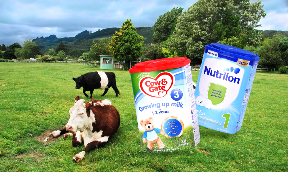 荷兰牛栏和港版牛栏哪个好吃,英国牛栏和荷兰牛栏有什么区别