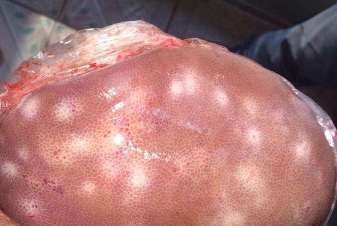 猪肝不清洗有什么危害,猪肝怎么分辨能不能吃