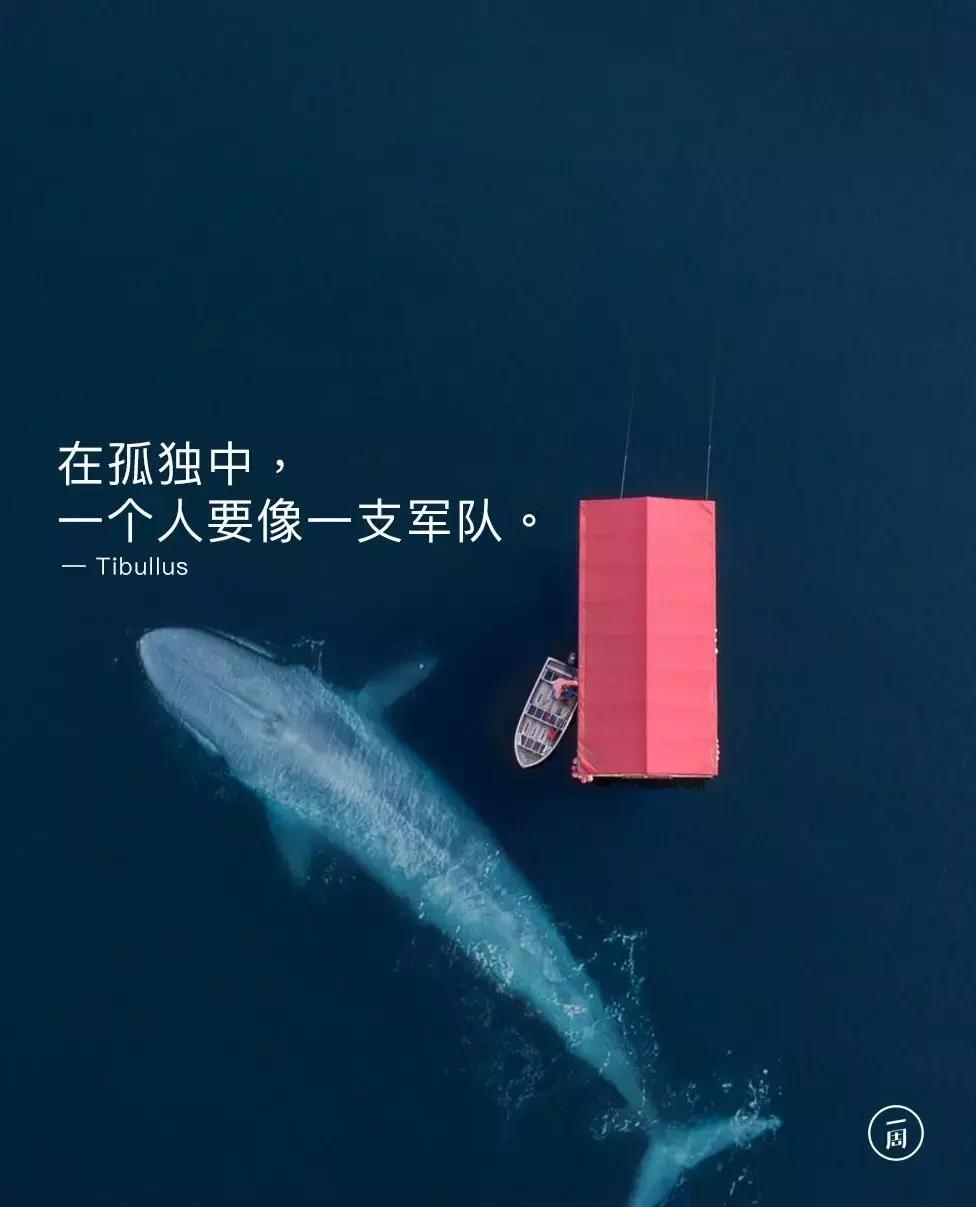 免费设计网站神器,免费设计神器测评网站