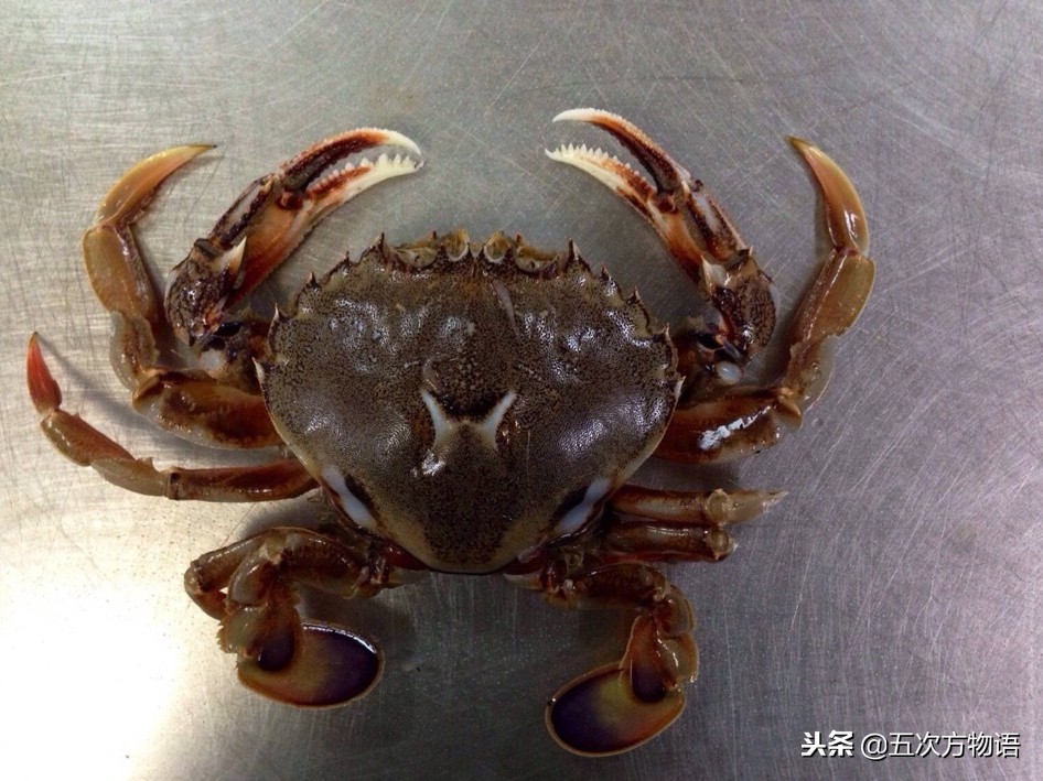 青岛市场帝王蟹种类,海鲜市场都有什么海蟹品种