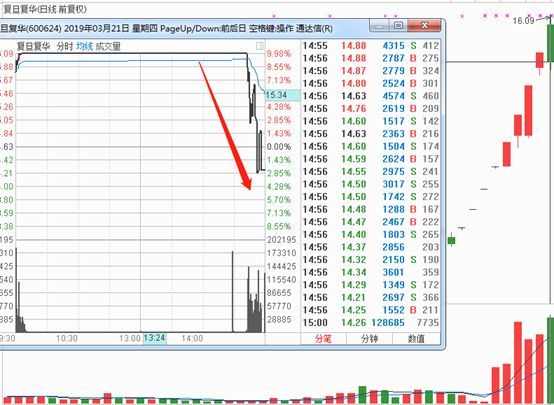 血崩的片段,雪崩死里逃生