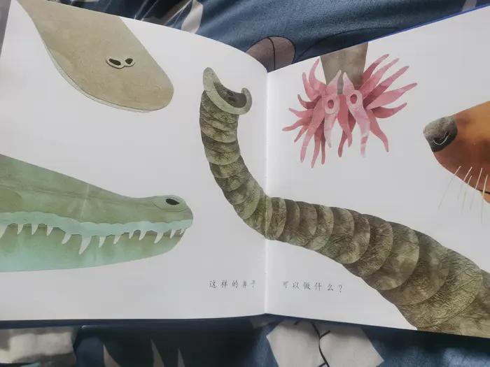 3-6岁儿童必读立体绘本,绘本3-6岁经典绘本早教科普