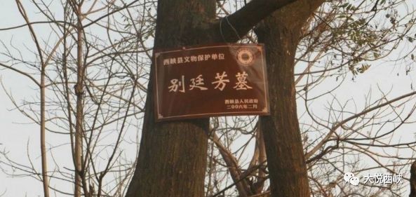 宛西首领别廷芳,宛西枭雄别廷芳