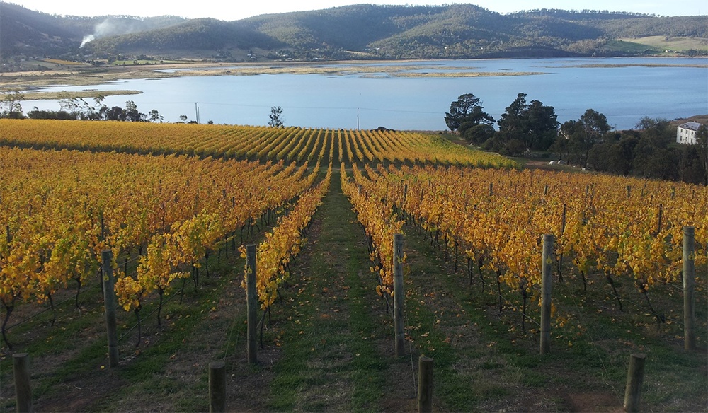 德国最适合旅游的十大酒庄,塔斯马尼亚岛最美的地方