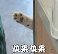 宅家太无聊干点啥,宅家太无聊出来抖一抖