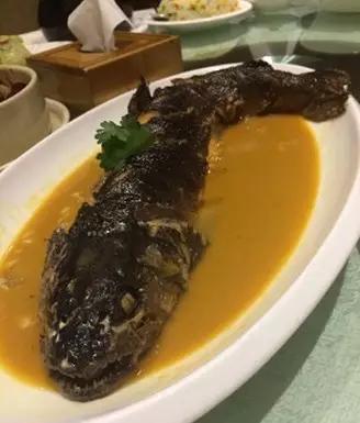 黑龙江五大名鱼,黑龙江最顶级的鱼