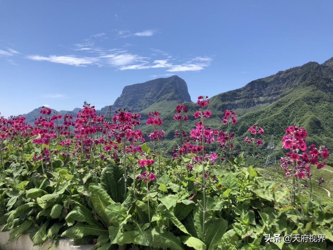 大山深处的回忆,大山深处的回忆图片