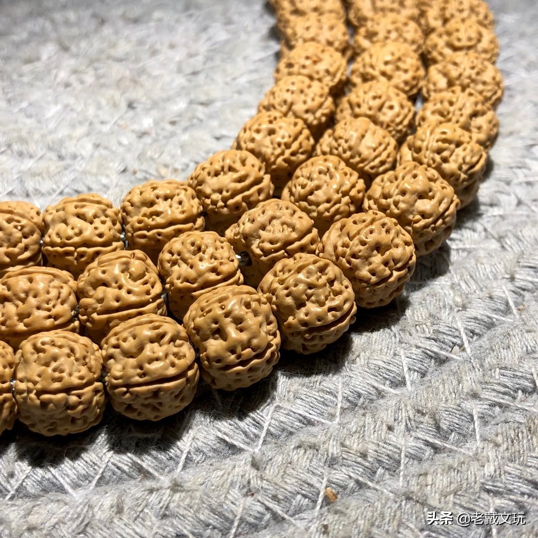 文玩手串金刚菩提心得,小金刚菩提子基础知识