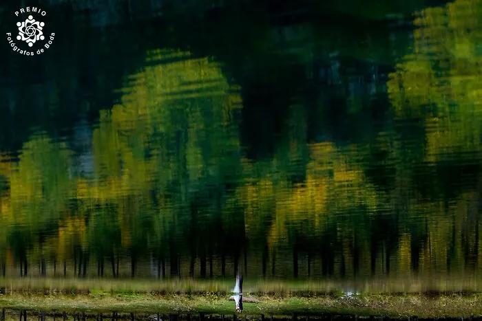 100寮犳渶鏂拌幏濂栧绀肩収,33涓幏濂栫殑濠氱ぜ鐓х墖瀹屽叏鍚稿紩鐪肩悆