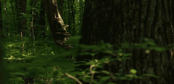 紫外空气消毒净化器,紫外线杀菌空气净化器