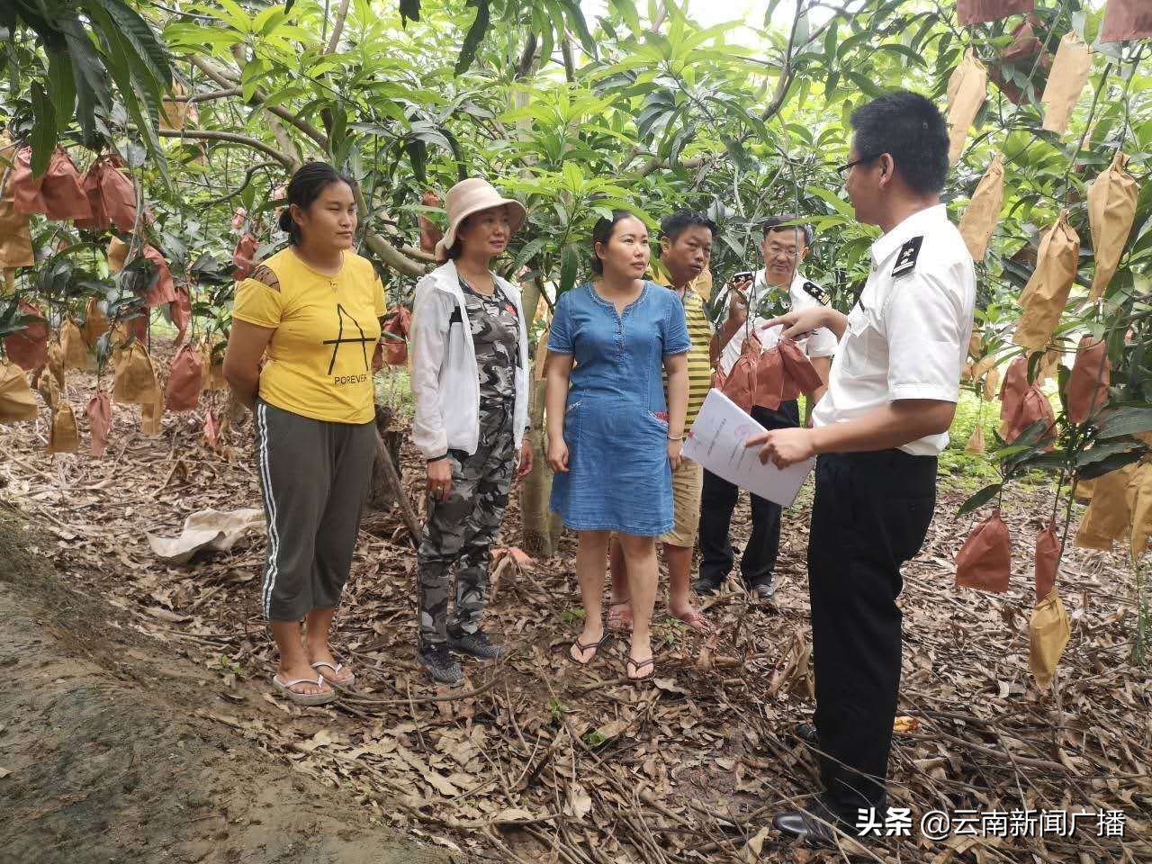 “云果”首乘中欧班列直运出口俄罗斯