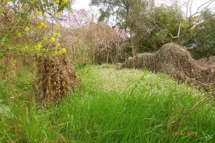 春天里的祝福短信,春天里的留言范文大全
