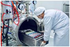 燕春语鲜炖燕窝优惠,燕春语鲜炖燕窝羹