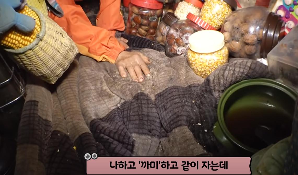 韩国老太独居深山40年,囤积癖老人去世