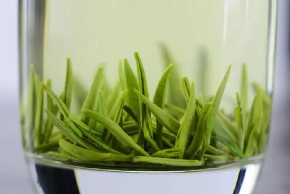 云雾绿茶庐山高山好茶,庐山云雾是好茶吗