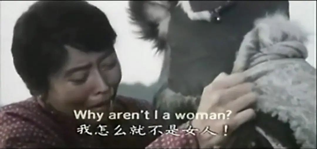 被孙红雷坑惨的明星,丁嘉丽与孙红雷近况