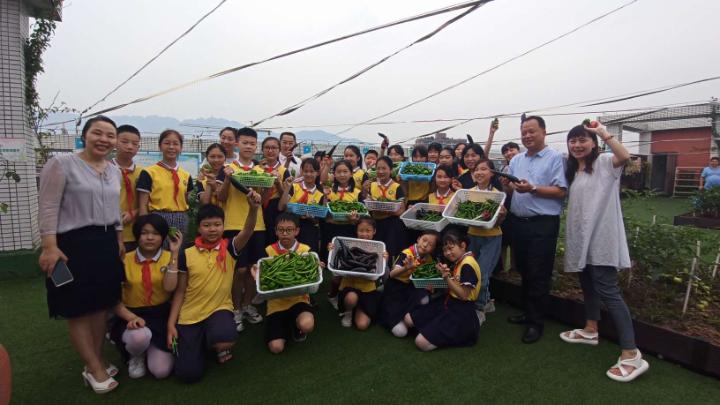 小学农耕节活动,梨树县首届农民丰收节