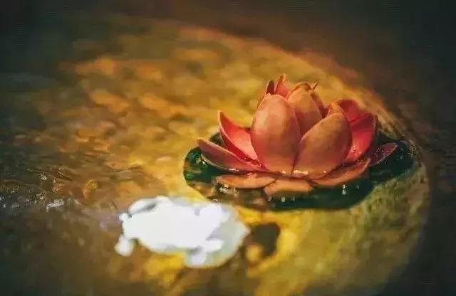 渡人如渡己渡己亦渡人下一句,人生渡人如渡己渡己亦是渡人