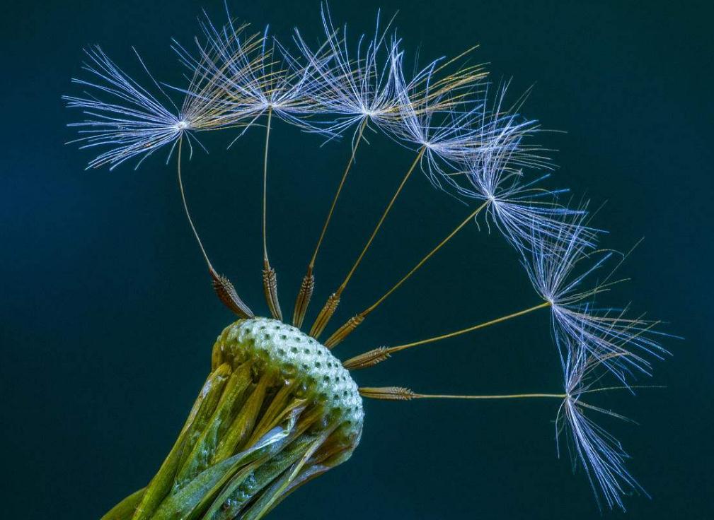 对待聪明人的办法,面对阴险狡猾的人该怎么回避他