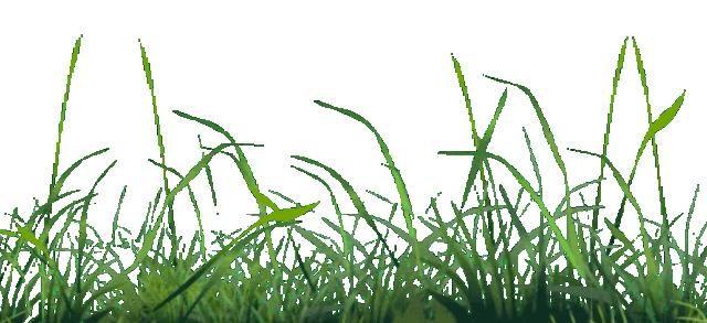 有关谷雨的诗歌,这把伞诵读完整版