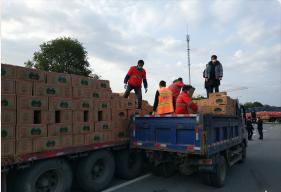 抗击新冠肺炎的信息简报,咸宁新冠肺炎最新通报