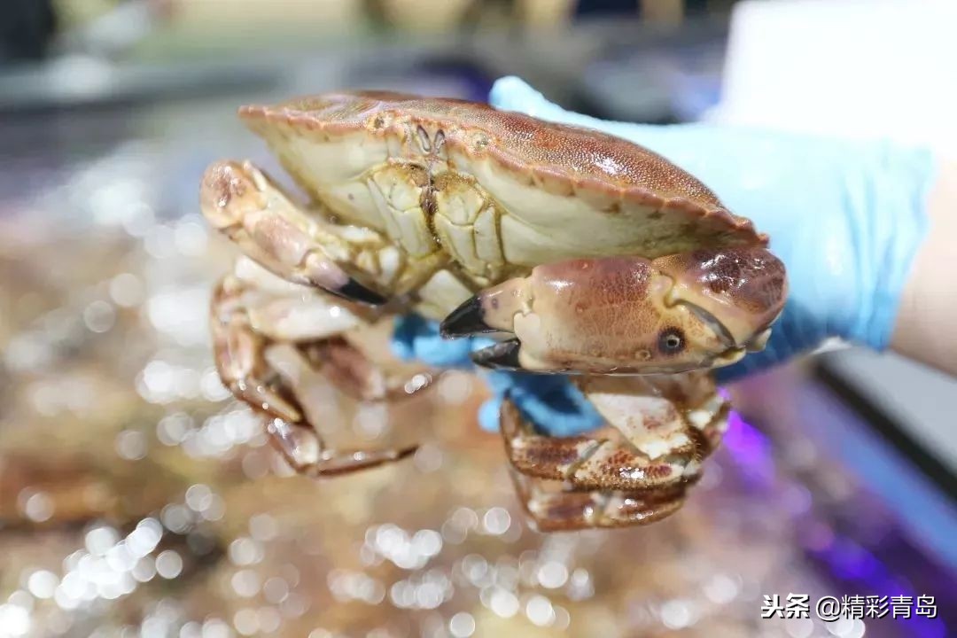 青岛盒马鲜生卓越皇后道店,青岛跑盒马鲜生怎么样