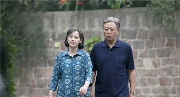 近十年评分最高十部谍战电视剧,19年至20年国产高分电视剧推荐