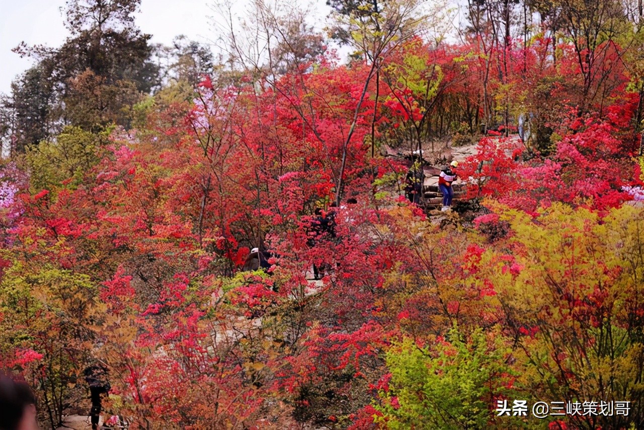距离宜昌300公里有什么好玩的,距离宜昌近好玩的城市