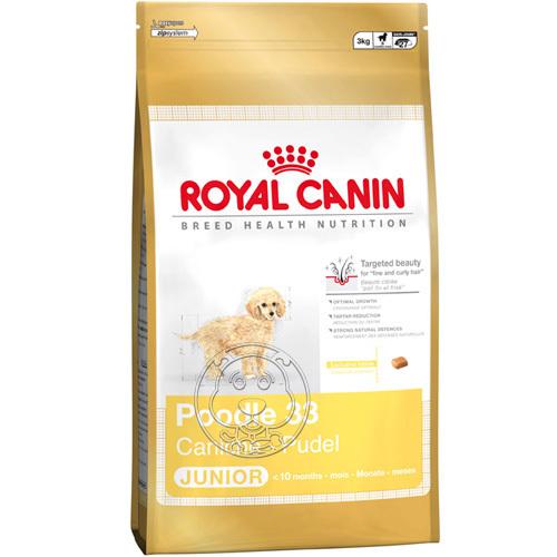 ssr狗粮排行榜,欧洲slk狗粮