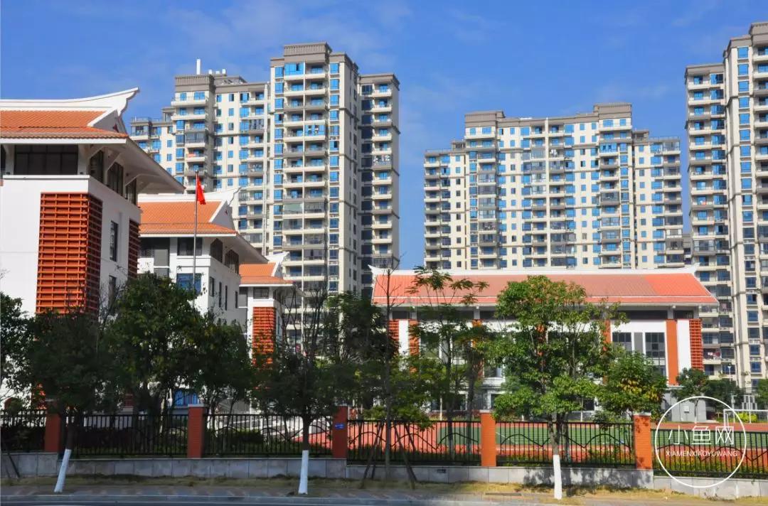 鬼城or未来可期？我们走进漳州港，发现“接盘侠”的各种悲喜交加