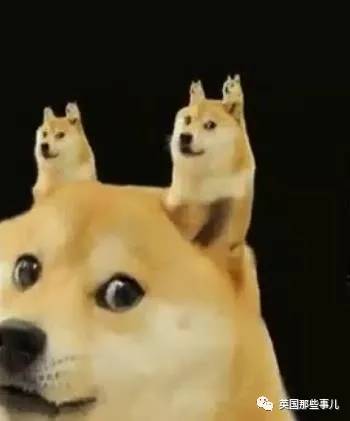 猫咪表情包喵星人,一组有故事的喵星人表情包