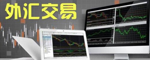 外汇真正的高人,外汇高手的技术