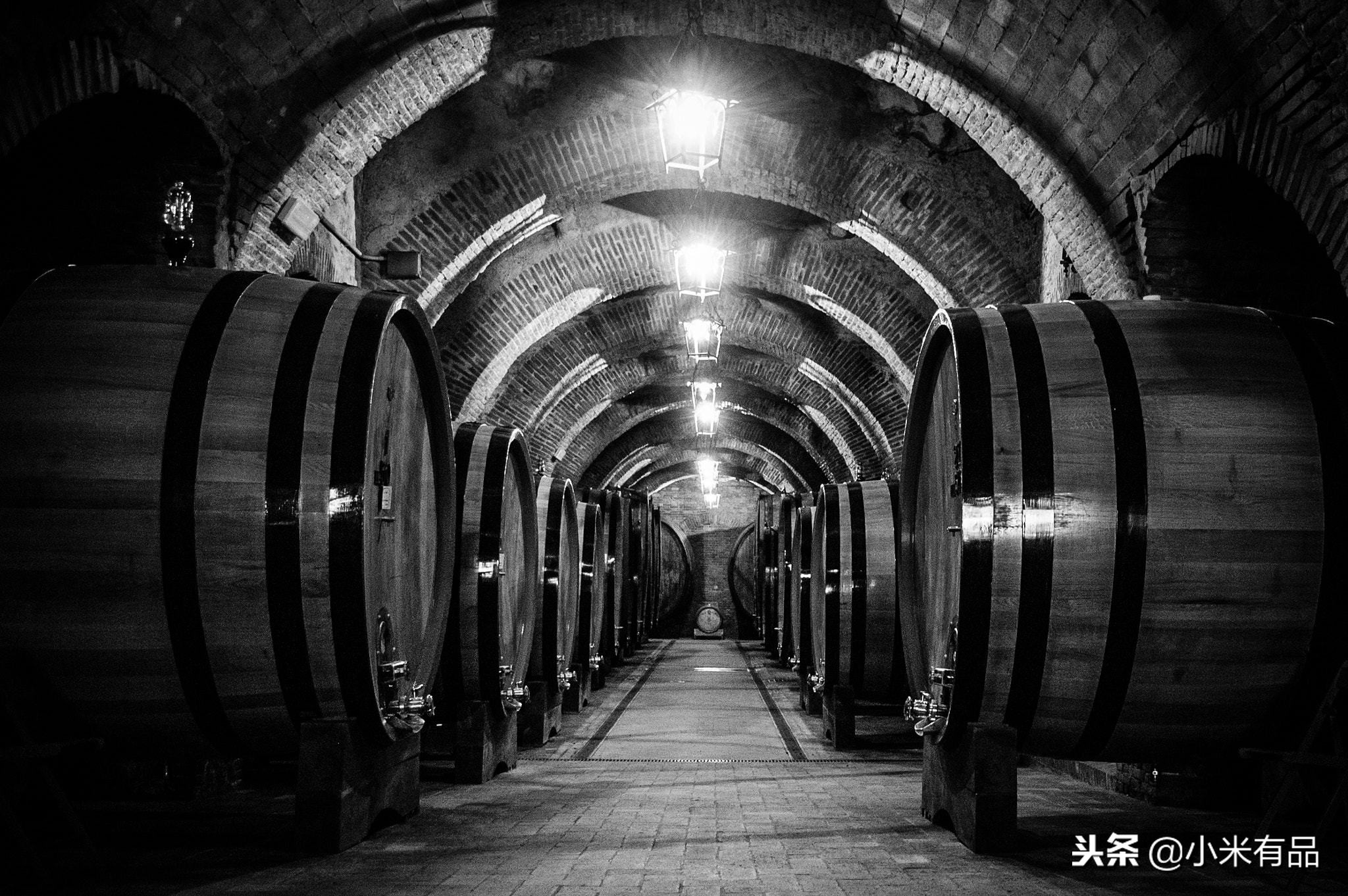 最好用的红酒柜,红酒酒柜哪种最实用