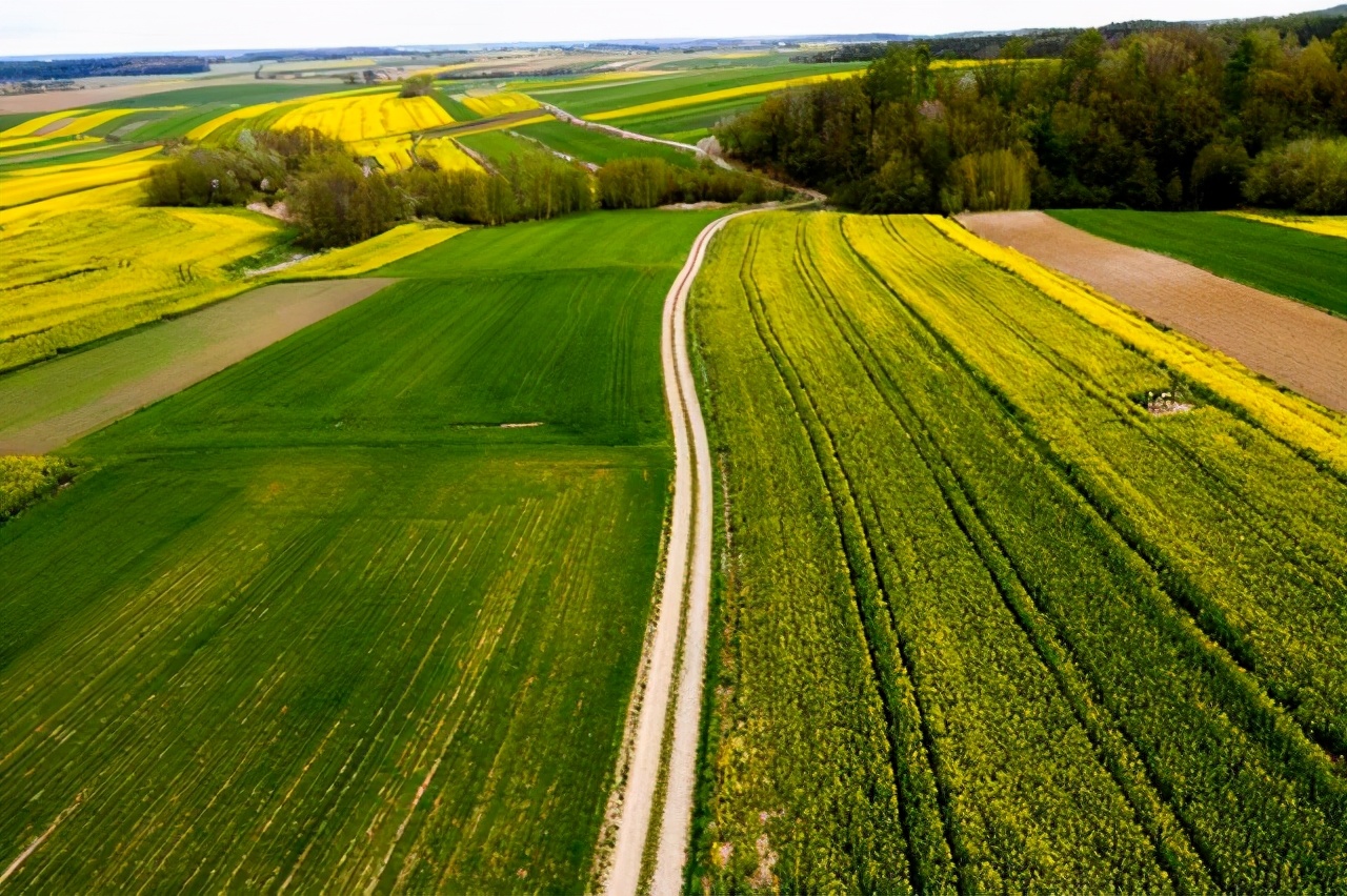 全国农业龙头企业500强分布,中国农业500强企业