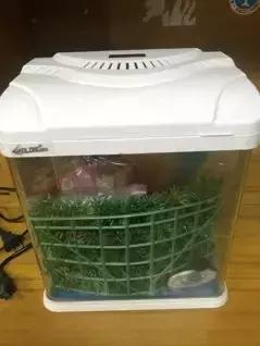 验孕棒、软中华、双开门冰箱……这届毕业生的甩卖市场很野啊