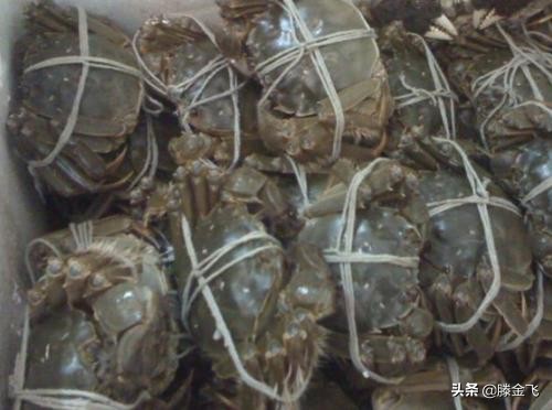 海螃蟹怎样保存时间长新鲜,新鲜螃蟹怎么保存最新方法