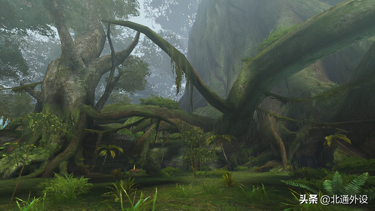 怪物猎人崛起新手攻略,入手怪物猎人崛起需要了解什么