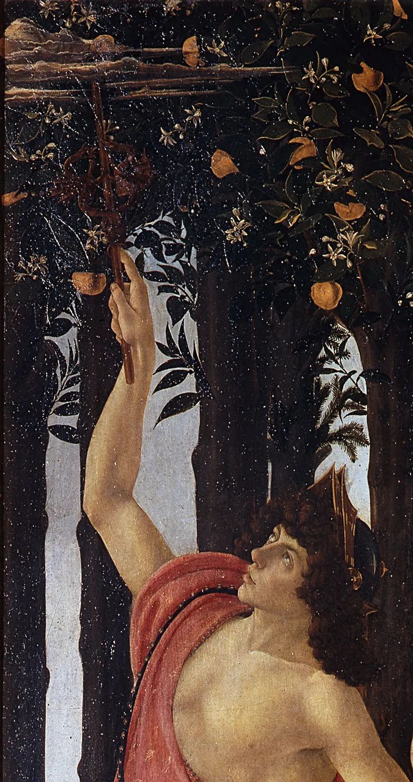 西式婚礼戴戒指流程,西式婚礼结婚戒指