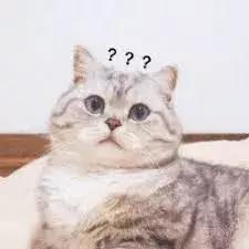 中国版放牛班的春天的电影叫啥,中国版放牛班的春天抖音