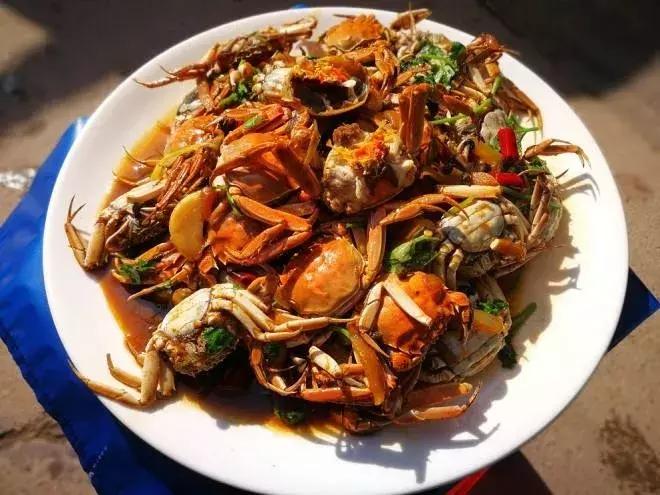 自贡有哪些稀有动物,自贡有哪些小动物